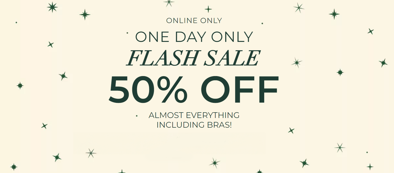 One Day Only: Flash Sale - 50% off!